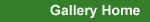 gallery.jpg 