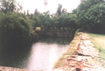 yamuna_eri_1s.png (31280 bytes)