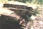 yamuna_eri_4s.png (36782 bytes)