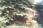 yamuna_eri_5s.png (41086 bytes)