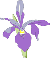 Natr048.wmf (18604 bytes)
