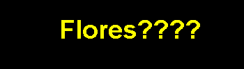 banner.gif (10442 bytes)