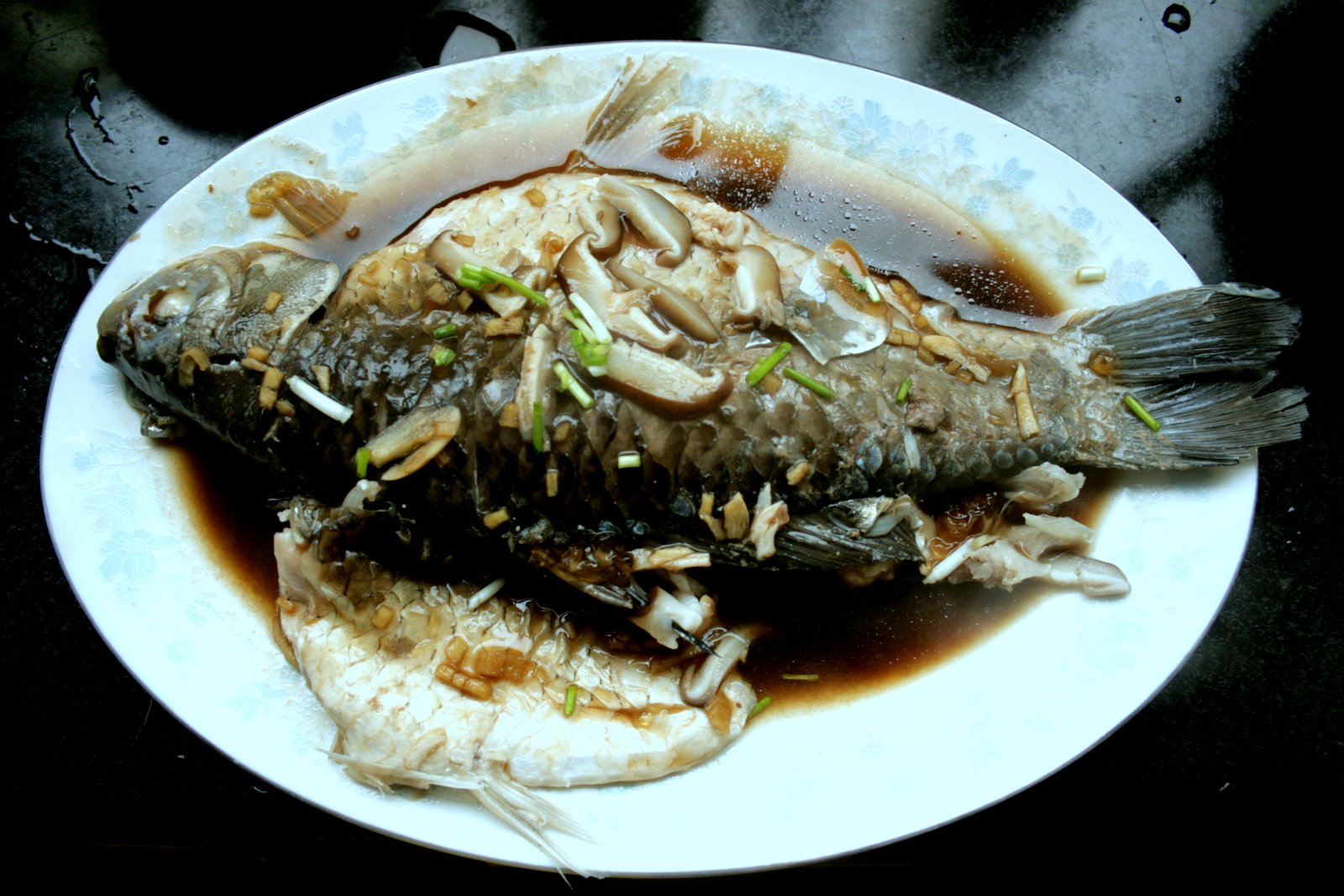 Fish