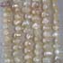 f0101