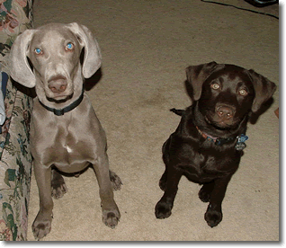 Zeus and Reina