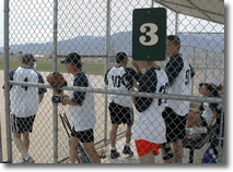 In the dugout
