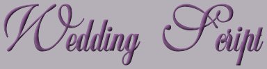 Wedding Script