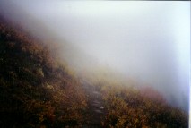 Where's the trail?