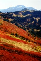 Rainbow Colors
