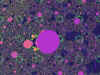 blueberrytoast.jpg (94859 bytes)