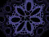 flower.jpg (73058 bytes)