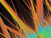grass2.jpg (85507 bytes)