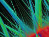 grass3.jpg (67402 bytes)