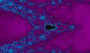 purplelace.jpg (37717 bytes)