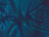 tree8.jpg (19982 bytes)