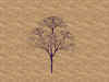 tree.jpg (118862 bytes)