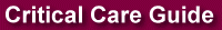 Critical Care Guide -- New!