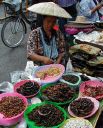 Street Vendor selling fried scorpions and other bugs