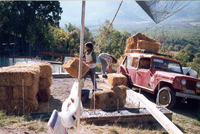 06-descargando-paja