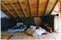 41) mi habitación