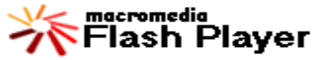 Flash Player
