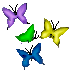 Butterflies