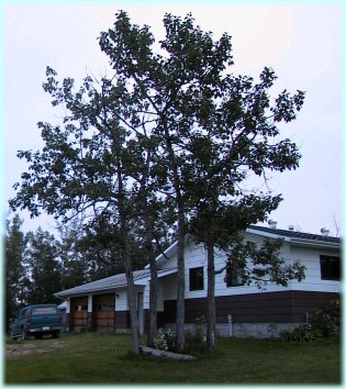 Main house and garage
