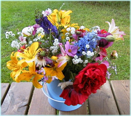 Pot of flowers