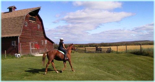 Horseback riding