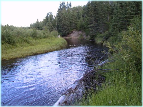 Christmas Creek