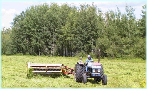 Farmer on tractor