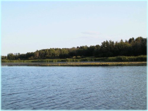 Thunder Lake