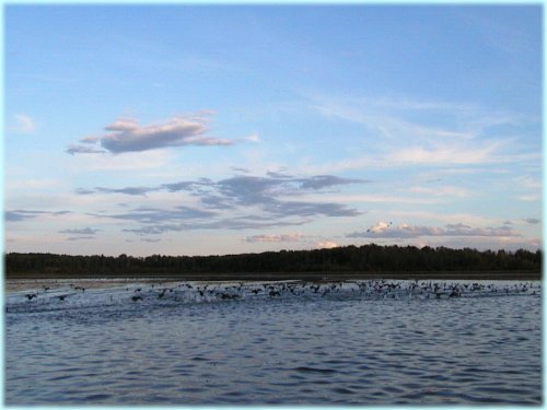 Thunder Lake