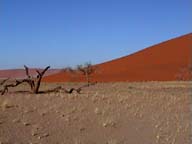 Dune 45