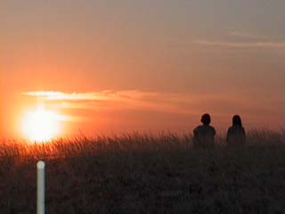 Sunset Silhouette