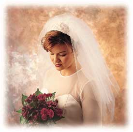 Beaded Veil PI