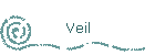 Veil