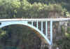 bungee.jpg (44236 bytes)