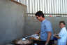 Ver mas grande