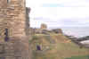standrewscaslte2.jpg (114127 bytes)