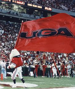 Go Dawgs!