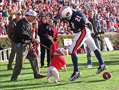 Get'em Boy!