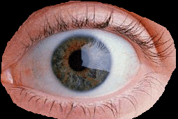 I finally fixed the left eye so that it is a left eye, NICE!