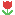 quamnet