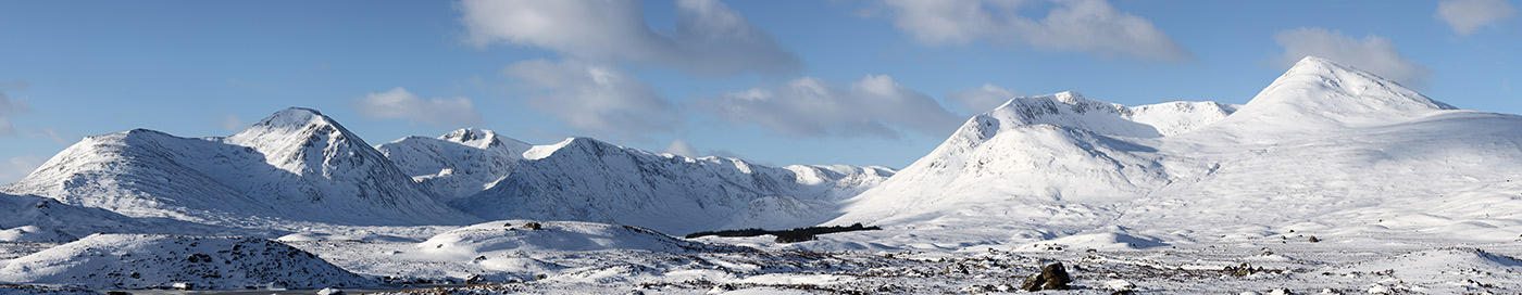 headerImage