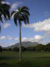 view of golf course
