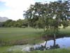 view of golf course