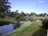 view of golf course