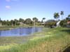 view of golf course
