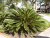 hotel grounds